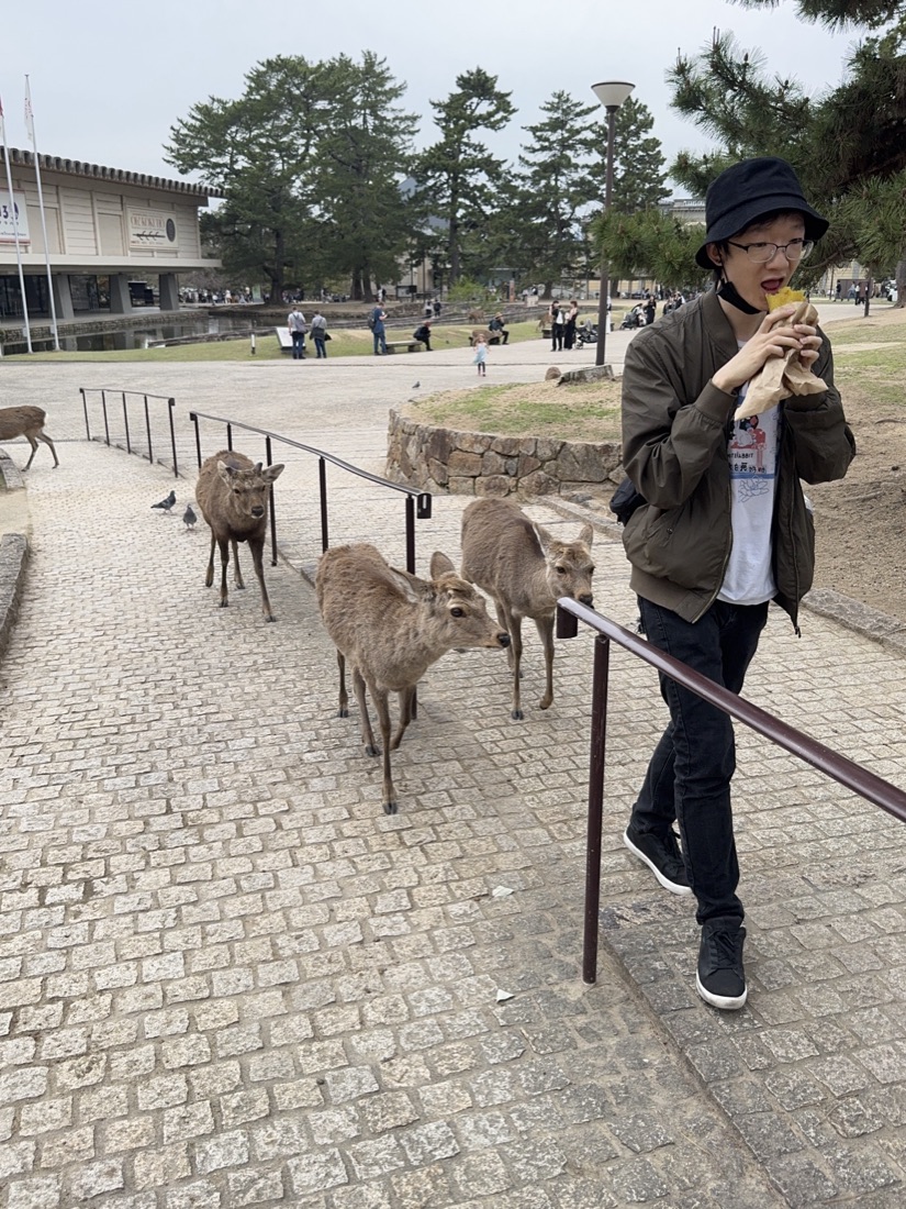 Justin eating a sweet potato while deer look on in Nara
