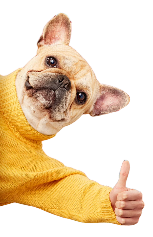 WOW! mascot Wowzer dog